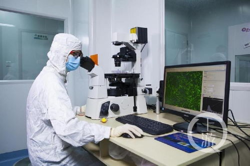 深耕生物医药创新研发 重庆这家企业获中国科技创新贡献奖